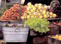 Fresh vegetables at the farmers' market.
